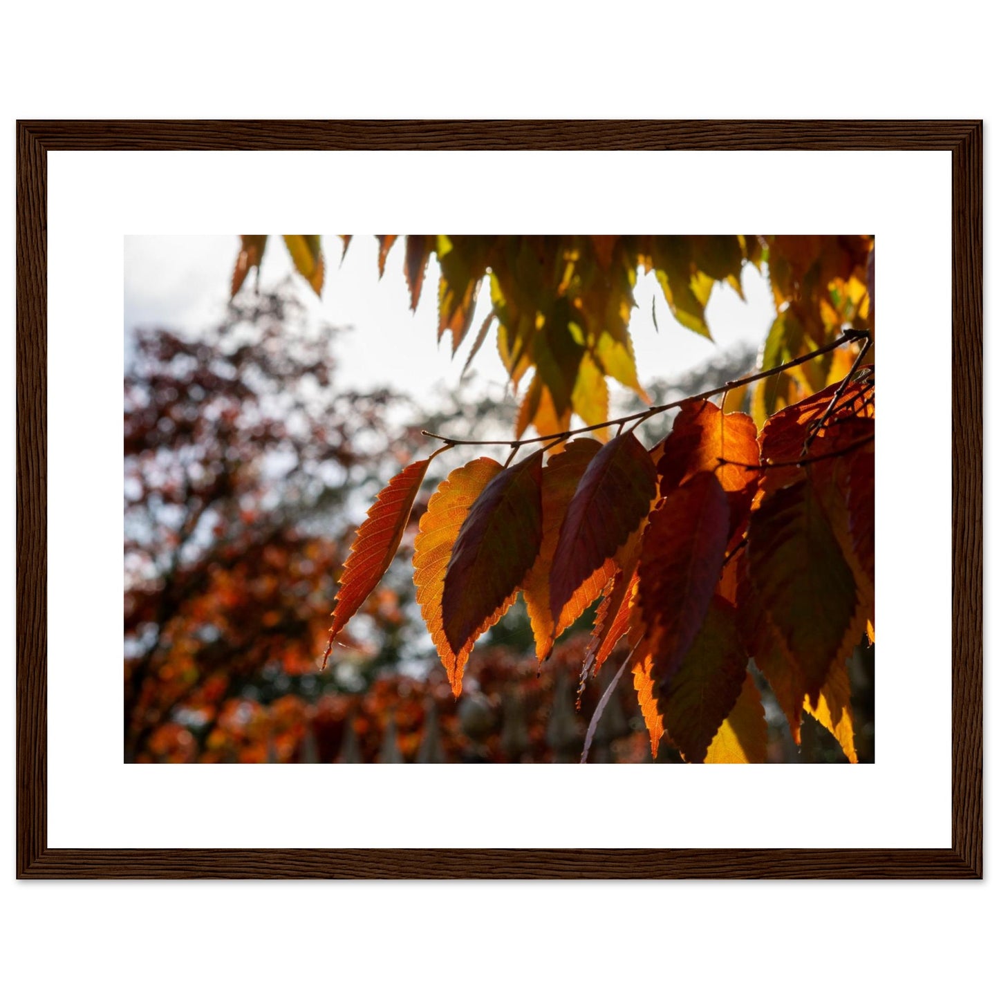 e736b916-7cfb-4c71-bb19-2fe0360db8dc