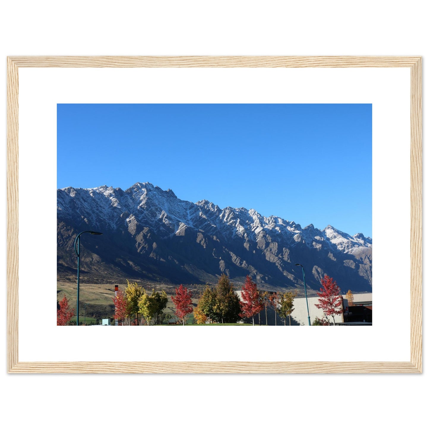 f01eccae-187d-4762-be00-14d66323b5f6