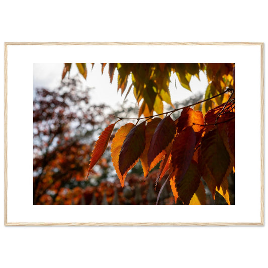 b2ca4b49-09c0-4e4f-b951-7a7502757c65