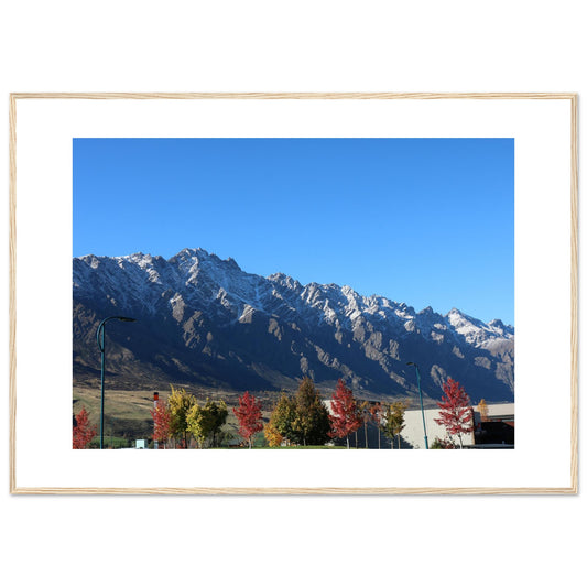 d161a967-0715-4d23-8e33-284879ec76ef